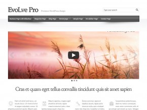 EvoLve Pro