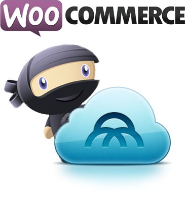 Unleashing The List of Different Shipping Methods Offered by WooCommerce