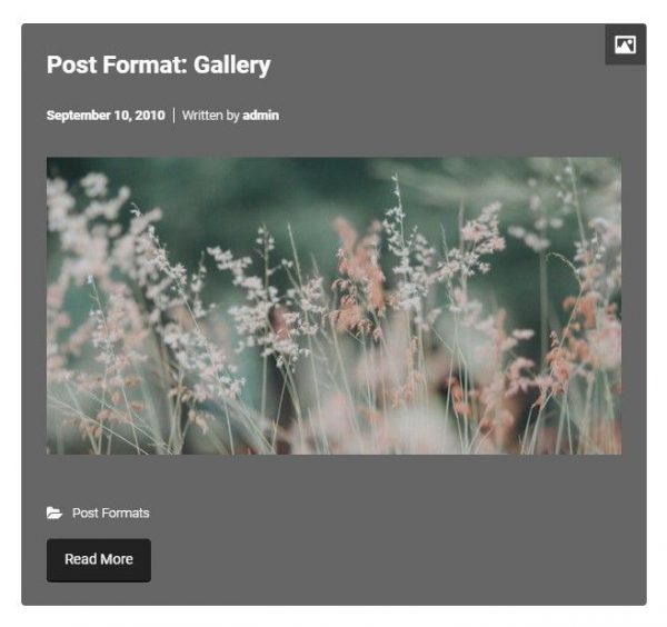 Gallery Post Format