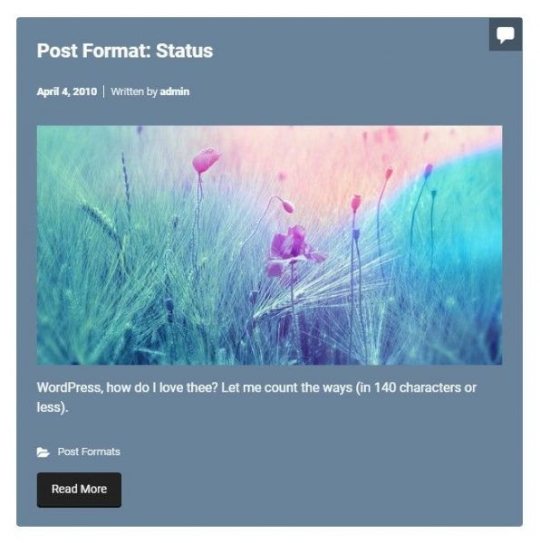 Status Post Format